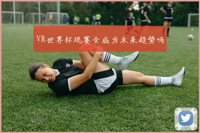 VR世界杯观赛会成为未来趋势吗